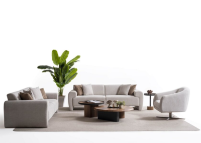 غرفة المعيشة القاهرة الملك