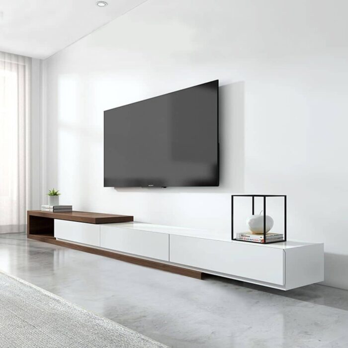 Home Aesthetic TV Stand